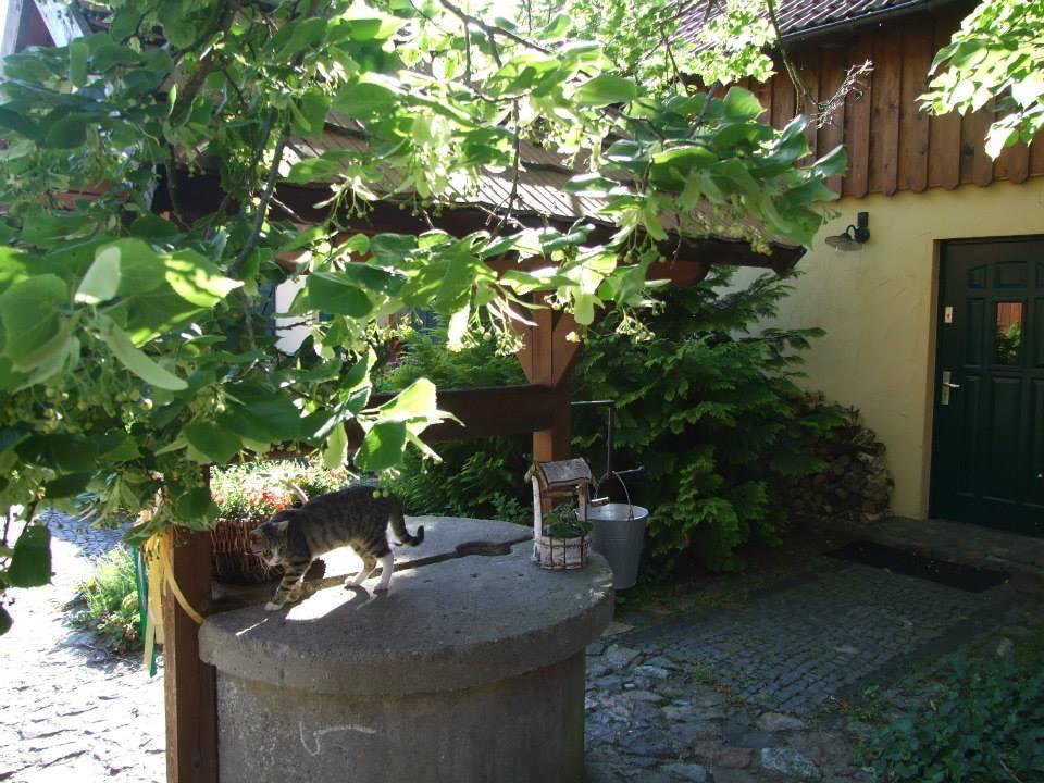Avalon Polchowo Kamien Pomorski Extérieur photo